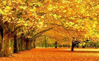 Beautiful Autumn Season Wallpaper All HD