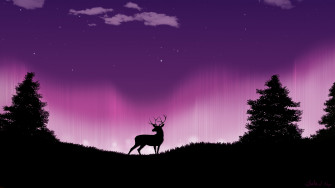 Reindeer Forest Of Serenity 4k Laptop HD Wallpaper Image Photos