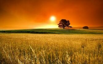 Sunny Day Wallpaper HD