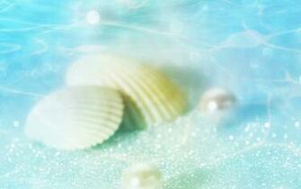 White Seashell In Water Wallpaper Entertainment Center