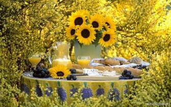 Hermosos Paisajes De Girasoles Wallpaper Background