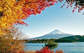 Nature HD Wallpaper 3d Desktop Background