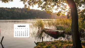 September Wallpaper Bies For Desktop Phones