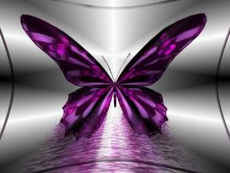Real Butterfly Wallpaper HD