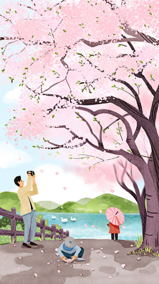 Cherry Blossom Phone Wallpaper
