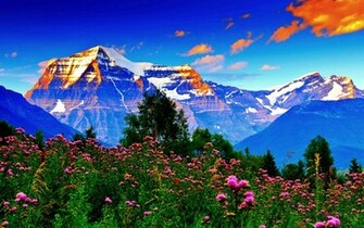 Spring Meadow Wallpaper Which Is Under The