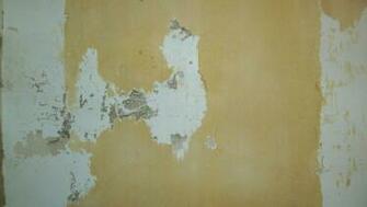 Wallpaper And Primer Doityourself Community Forums