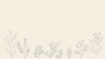 Minimalist Plant Wallpaper For Your Lock Screen
