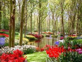 Garden Desktop Wallpaper For HD Widescreen And Mobile