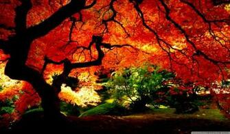 Beautiful Autumn Wallpaper Room