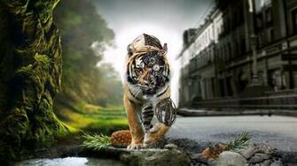 HD Wallpaper Desktop Wallapers High Definition
