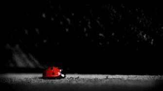 HD Black Wallpaper Hq