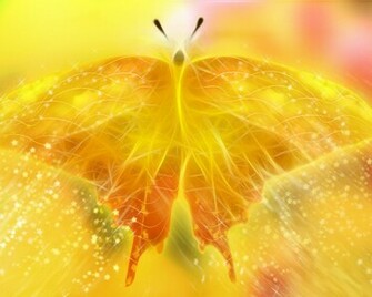 Yellow Butterfly Desktop Pc And Mac Wallpaper