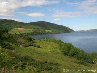 Scottish Highlander Wallpaper The Verdant Highlands