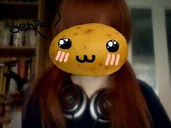 Kawaii Potato By Neko Bocchan