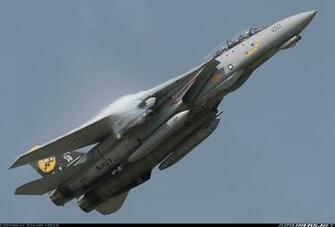 Tomcat