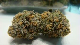 Purple Kush Wallpaper Kush3