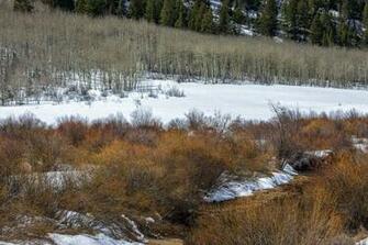 Early Spring East Of Aspen Stillwater Lake Wallpaper By Camp