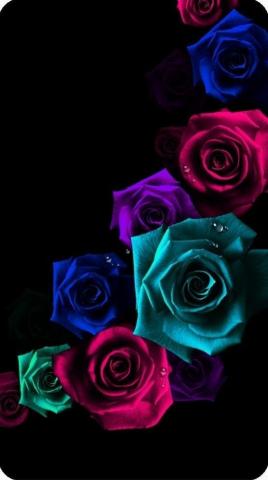 Maryam On Flower Background iPhone