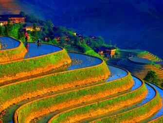 Chinese Wallpaper
