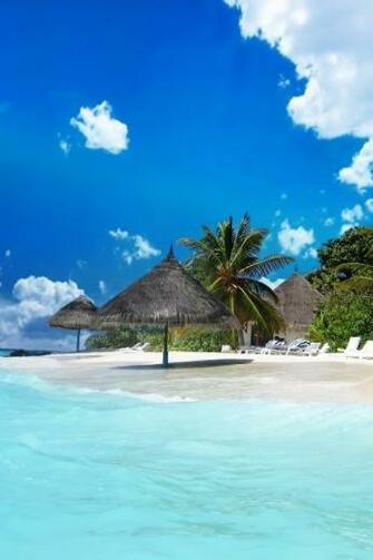 Summer Beach Coast iPhone 4s Wallpaper HD Apple