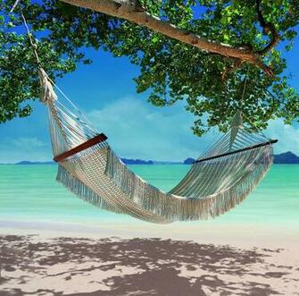 Hammock On The Beach
