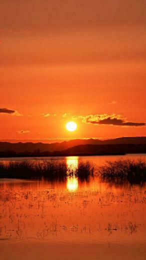Beautiful Sunset Scene Wallpaper For iPhone Plus
