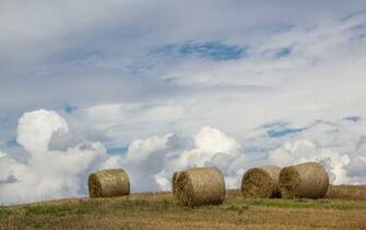 Hay Bales Wallpaper