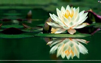 Nature Wallpaper Photos Santa Banta Natural Wall Papers
