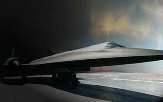 Blackbird Wallpaper