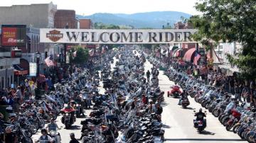 Sturgis Wallpaper Group