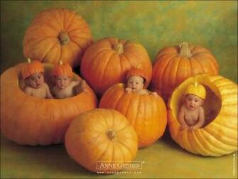 Baby Information Guide Angel Wallpaper Cute With