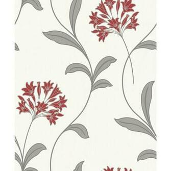Red And Cream Wallpaper HD Pretty