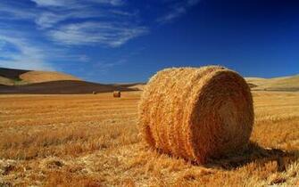 Wallpaper Windows Albums Faridfox Web Showpic Jpg