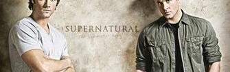 Wallpaper Supernatural Actors Jared Padalecki