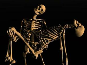 3dd Skeletons Wallpaper Wallpoper