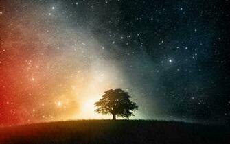 Beautiful Tree Shadow On Starry Sky Full HD