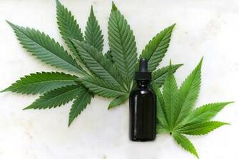 Cannabis Pictures Image