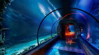 Aquarium HD Wallpaper 1080p Background