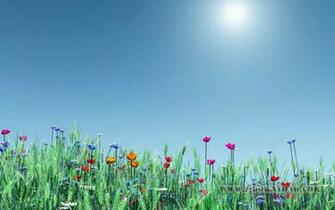Spring Wallpaper Pictures