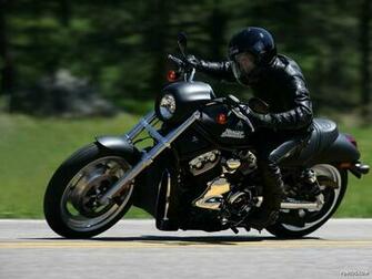 Click To Enlarge Harley Davidson Exclusive Wallpaper