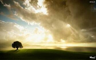 X Size HD Desktop Wallpaper