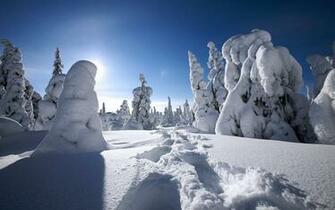 Computer Wallpaper Beautiful Winterscape