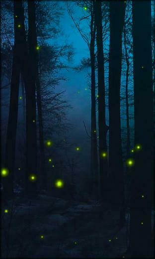 Fireflies Live Wallpaper Is The Right For Your Phone If You
