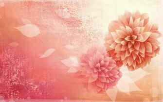 Peony Wallpaper HD