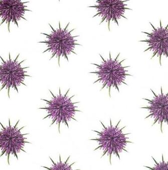 Wallpaper From Abnormals Anonymous Architects And Artisans