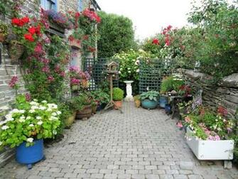 Backyard Gardens Wallpaper Top