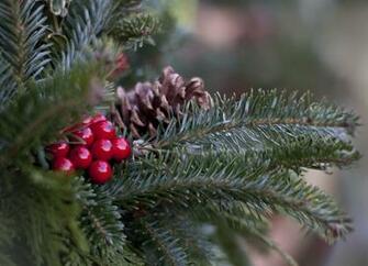 Christmas Season Wallpaper Grasscloth