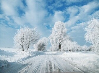 Beautiful White Landscape Wallpaper