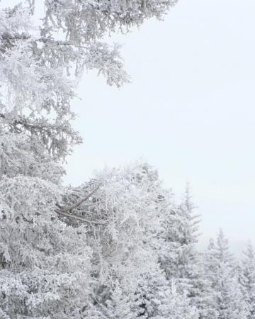 Ski Santa Fe On It S Cold And Frosty This Morning With